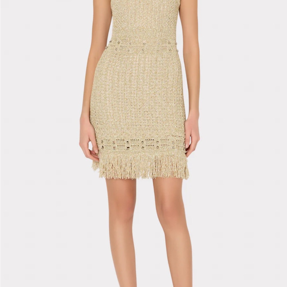 Milly golden Beige  Sheath Crochet Mini Dress with beads and fringe. Fully lined